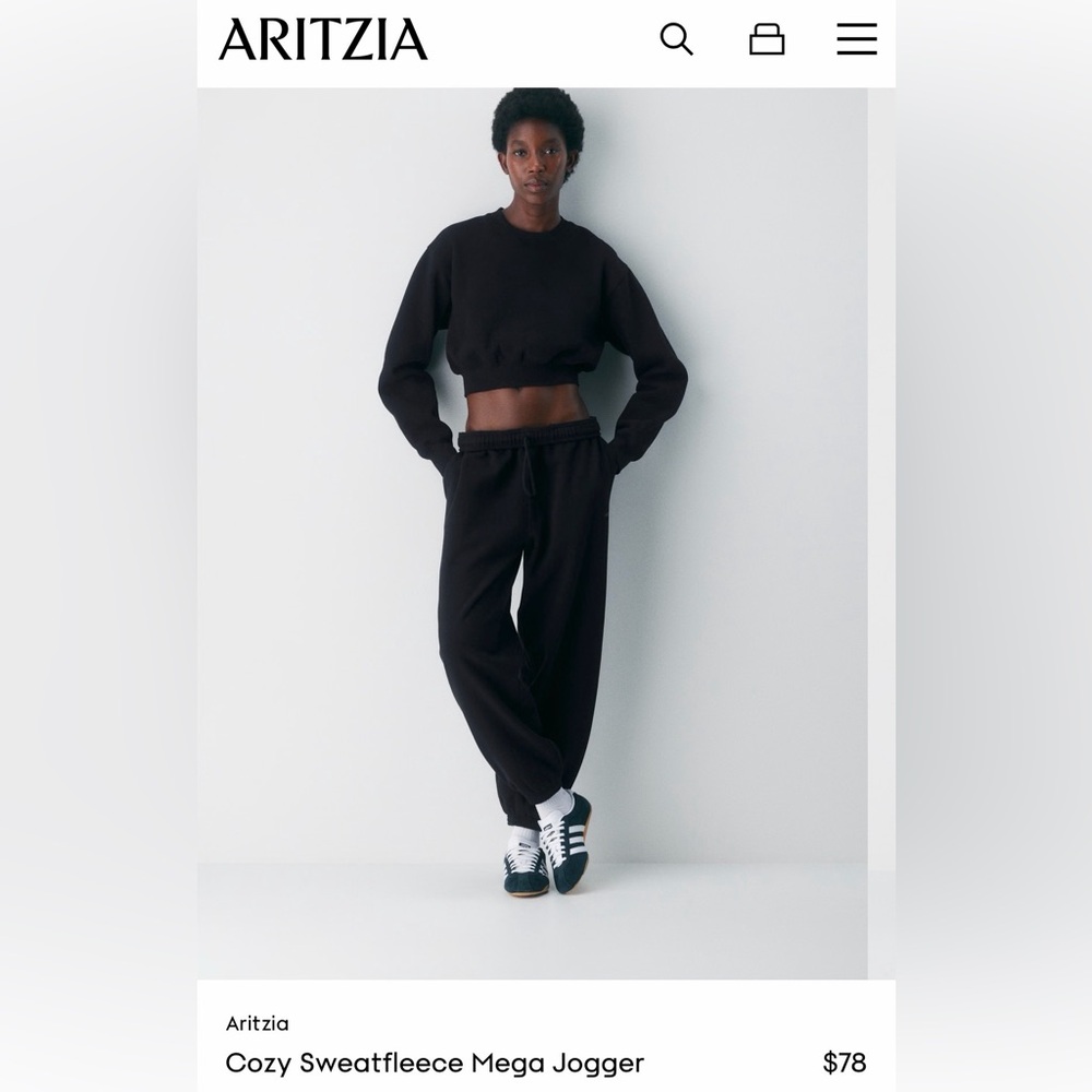 EUC GREY ARITZIA MEGA SWEATPANTS